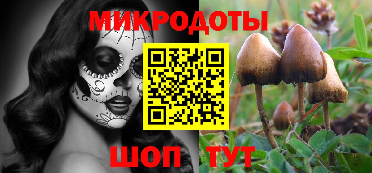 Димитровград  наркота  Вход с VPN  Галлюциногенные грибы Magic Shrooms 